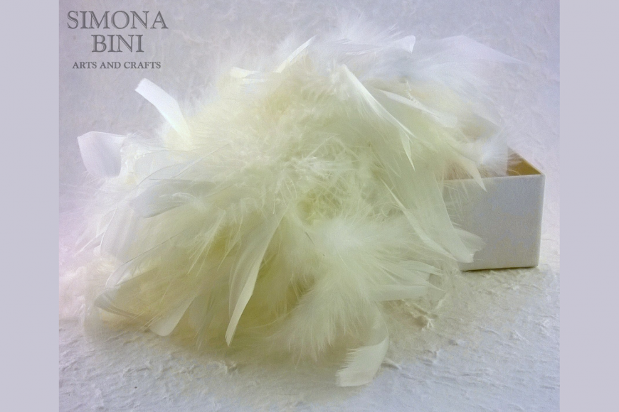Scatola con piume – Box with feathers